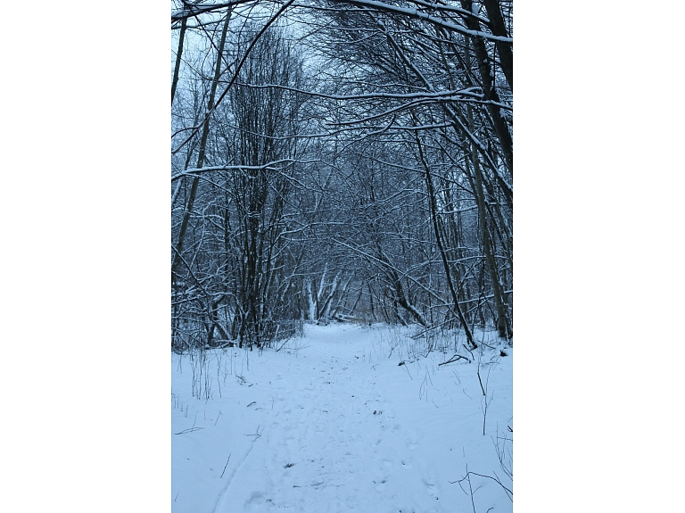 Fotogrāfe Madara Luste