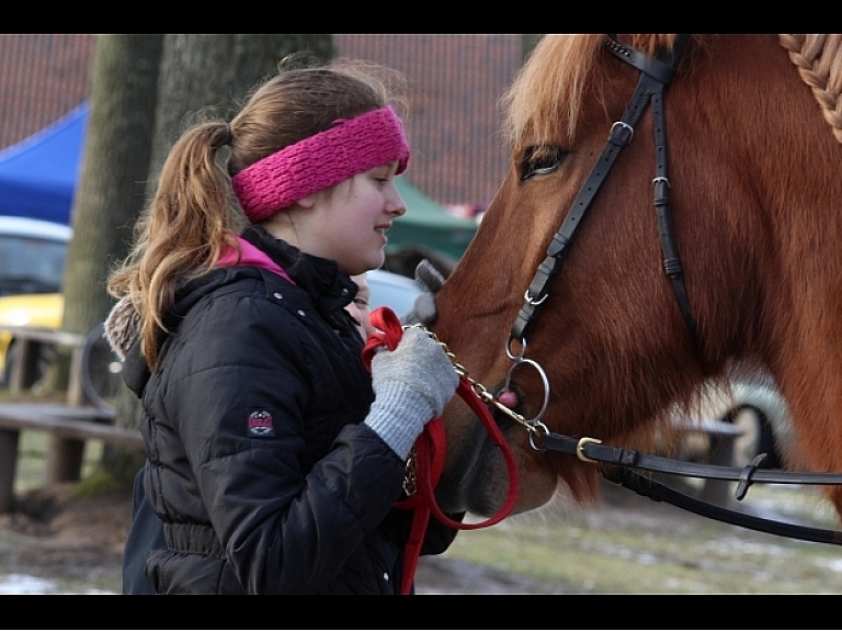 Saseksas Universitātes zinātnieki atklājuši, ka zirgi spēj atpazīt cilvēku emocijas.