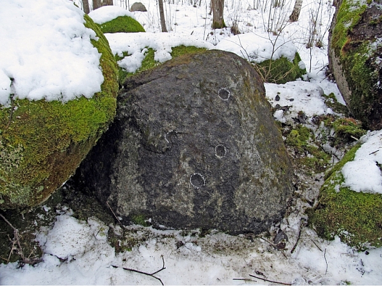 Kocēnu novada Bērzaines pagastā izdevies atrast kopš 20.gadsimta 80.gadiem pazudušo Daviņu II dobumakmeni jeb bedrīšakmeni.