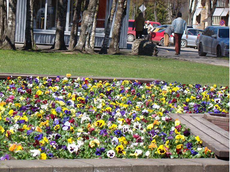 Foto: Simona Čeičiniece