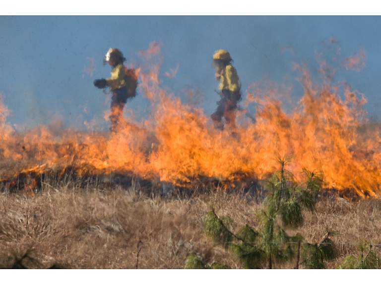 Valsts ugunsdzēsības un glābšanas dienests šogad reģistrējis jau 2276 kūlas ugunsgrēkus.