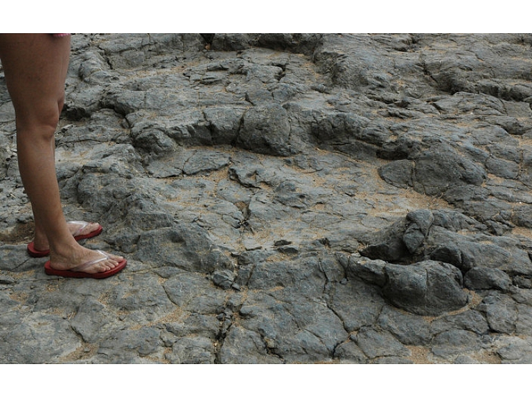 Spānijā atrasts 230 miljonus gadu vecs dinozaura pēdas nospiedums. Nospiedumu ir atstājis izohirotērijs, kas ir krokodilu sencis.