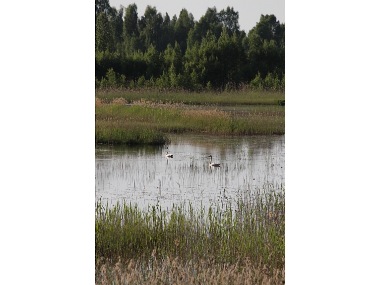 Valka24.lv