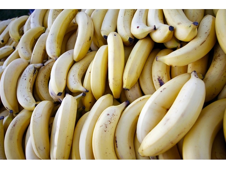 Beļģijas muitas dienests banānu kravā atradis 1,7 tonnas kokaīna.