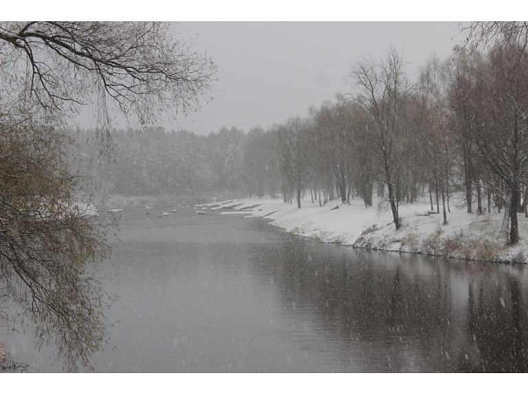 Dāvis Strazds/ Valmiera24.lv