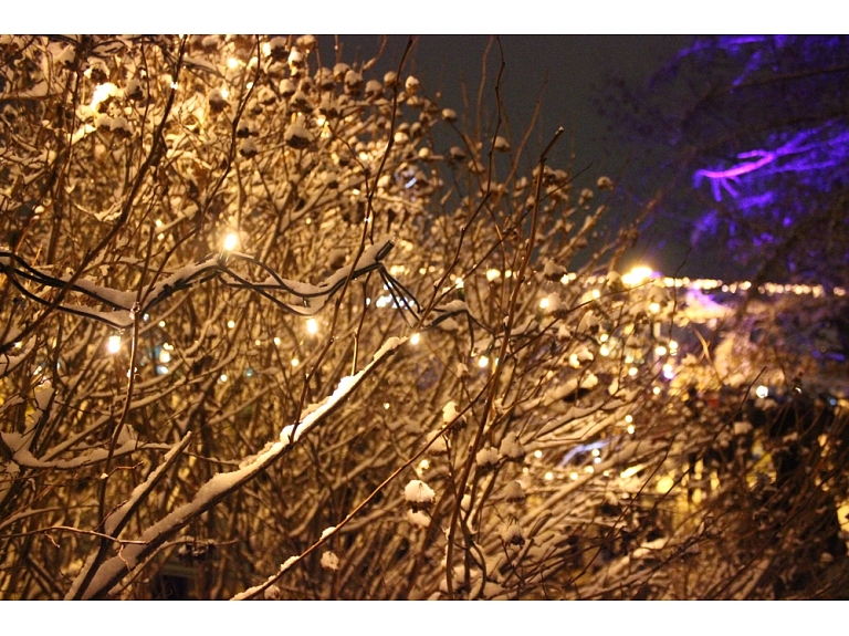 Anita Gušča/ Valmiera24.lv