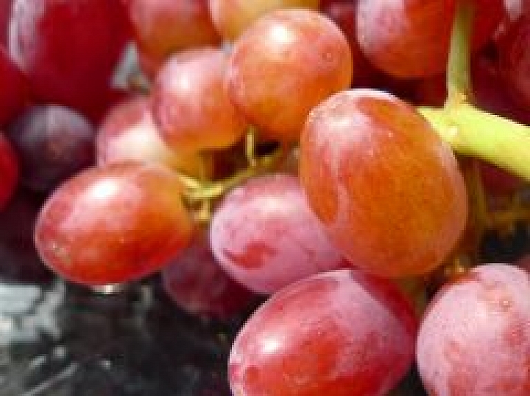 Limbažu 3.vidusskola piedalīsies Ekoskolu projektā par pārtikas tēmu