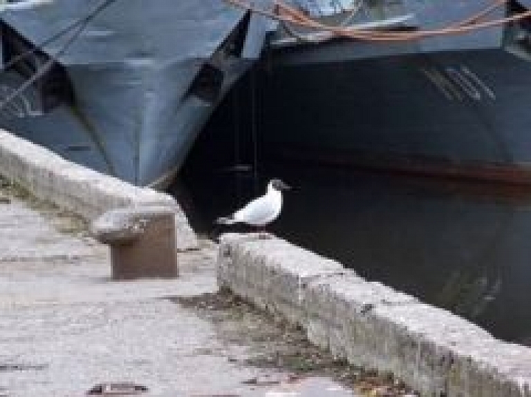 Latvija iesaistās virs Baltijas jūras pazuduša Lietuvas "kukuruzņika" meklēšanā