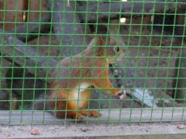 Piešķir līdzekļus Līgatnes dabas taku saimniecības ēkas atjaunošanai
