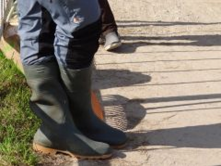 Lielā Talka Balvu novadā