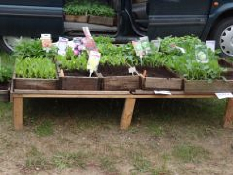 Pie Jelgavas pils notiks "Latvijas stādu dienas 2015"