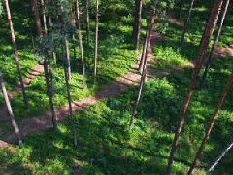 Pokaiņos svinēs Ūsiņa dienu