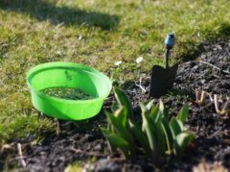 Jauniešus Ludzā aicina pieteikties darbam vasaras brīvlaikā