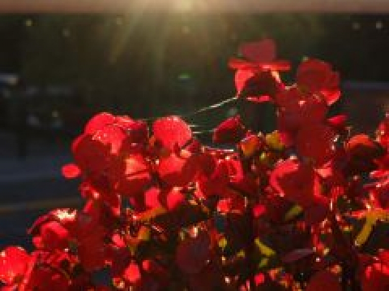 Jelgavas novadā rīkos piemiņas pasākumu Pirmā pasaules kara kaujām