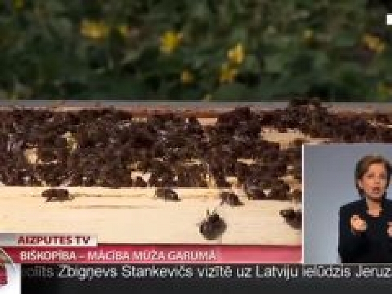 Biškopība - mācība mūža garumā