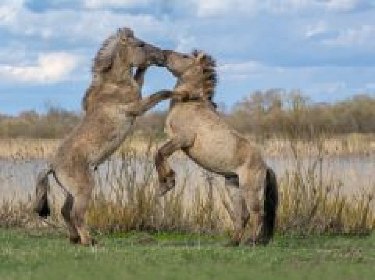 Vēl var pieteikties fotokonkursa "Jelgavai 750" otrajam posmam