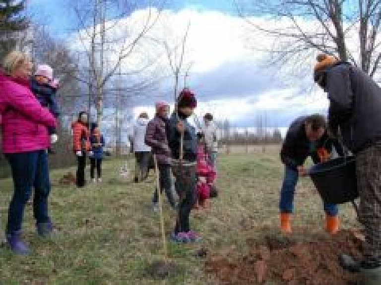 Upītē norisinājās ozolu stādīšanas talka