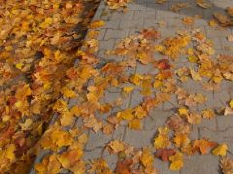 Cēsīs turpmāk zaļos atkritumus bez maksas pieņems EKO laukumā