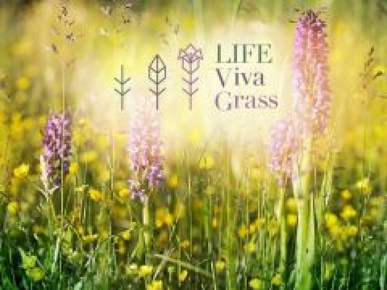 Cēsīm izstrādās ainavu plānu