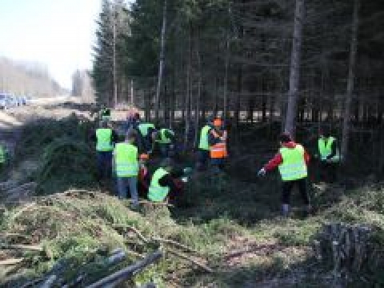 Izveidotas 400 zivju nārsta mākslīgās ligzdas Daugavas raudām un brekšiem