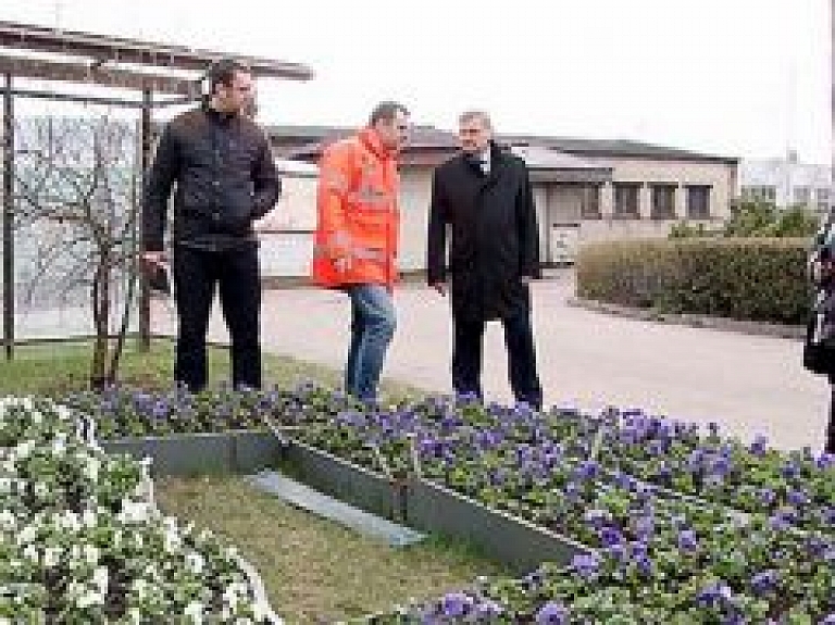 Daugavpils ietērpjas ziedu rotā