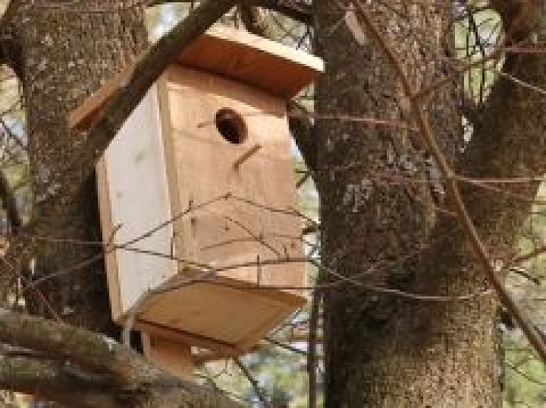 Bērnunama "Priedīte" audzēkņi uzdāvina pilsētai putnu būrus