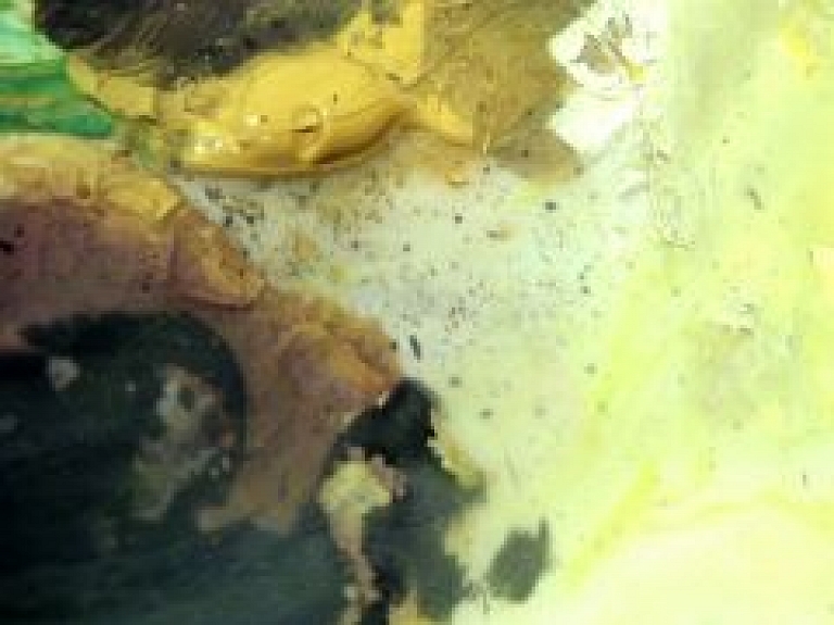 Atklās Balvu mākslas skolas audzēkņu izstādi