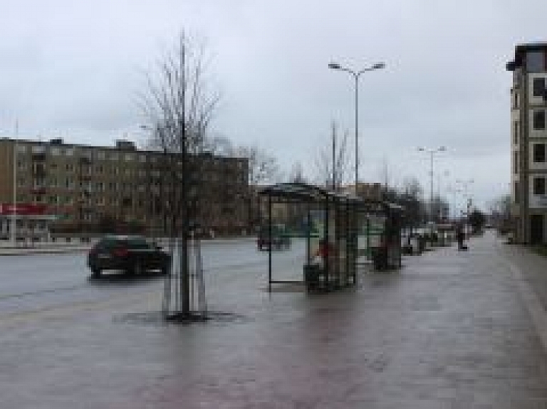 Biedrības Jelgavai dāvās ozolu, ko stādīs pie Čakstes pieminekļa