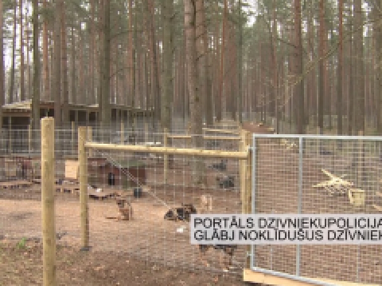 Latgales Reģionālā TV: Portāls dzivniekupolicija.lv glābj noklīdušus dzīvniekus