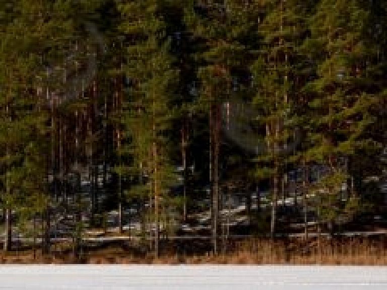 Pie Niedrāja ezera izdevies iemūžināt spocīgas vāravas
