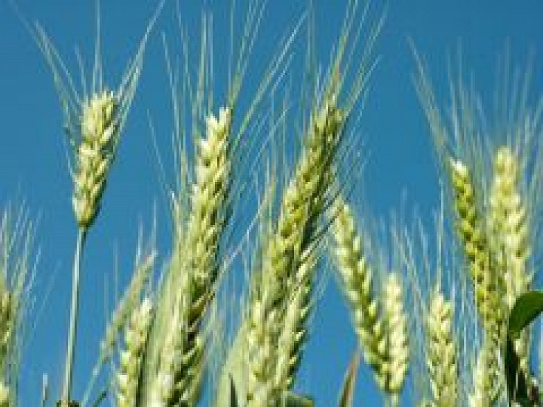 Jelgavas iedzīvotājus aicina uz sarunu par dzīvi laukos