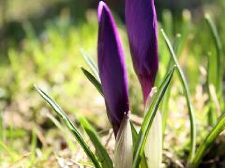 Lielās piektdienas un Lieldienu dievkalpojumi Ķempju baznīcā