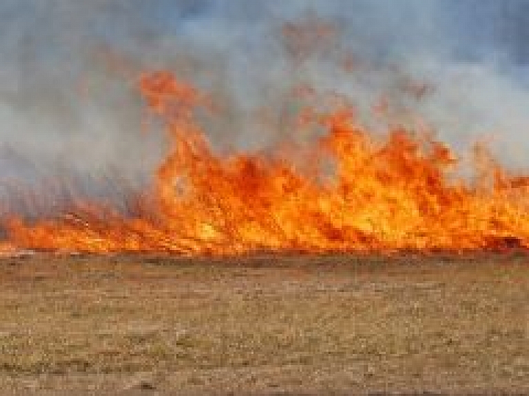 Balvu novadā pērnā gada zāle degusi 30 hektāru platībā