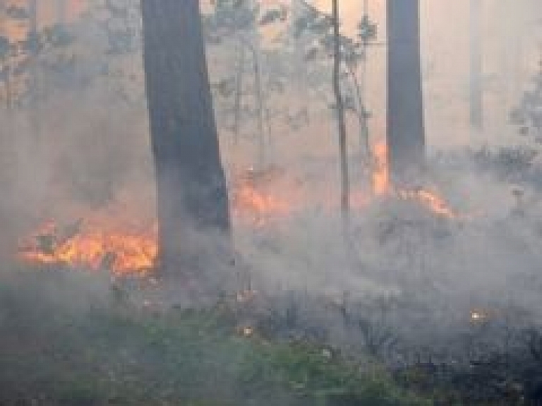 Brīdina par paaugstinātu ugunsbīstamību Latvijas mežos