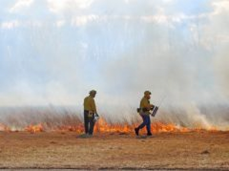 Vīksnas pagastā degusi kūla desmit hektāru platībā