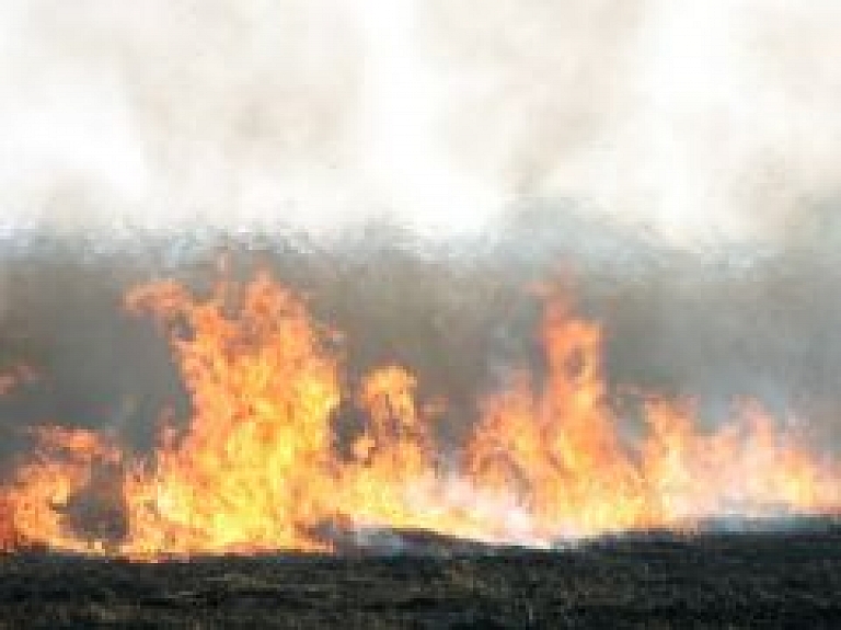Vecumnieku pagastā kūla deg 30 hektāros