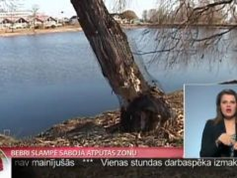 Bebri Slampē sabojā atpūtas zonu
