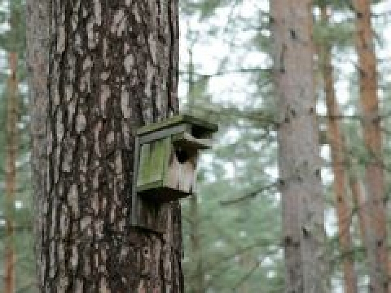 Aizkrauklē notiks akcija "Katram putnam savu māju"