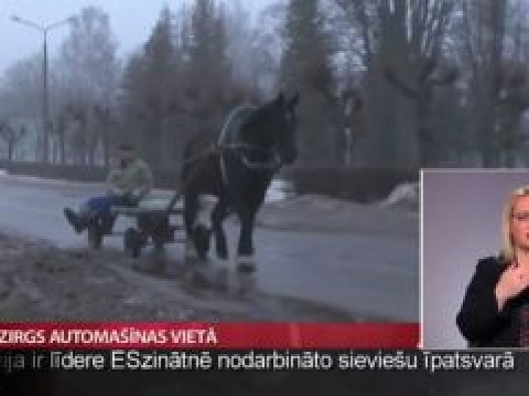 Zirgs automašīnas vietā