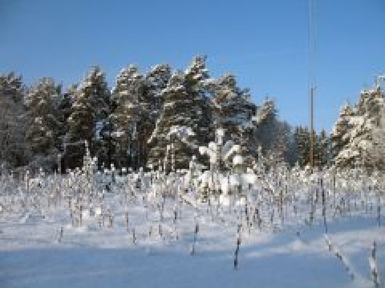 Notiks Kuldīgas novada ziemas sporta spēles