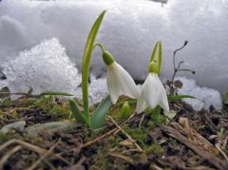 Februāris noslēgsies ar pavasarīgiem laikapstākļiem