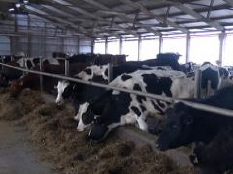 Latgales Reģionālā TV: Jaunpils zemnieki apņēmības pilni pārciest piena cenu krīzi