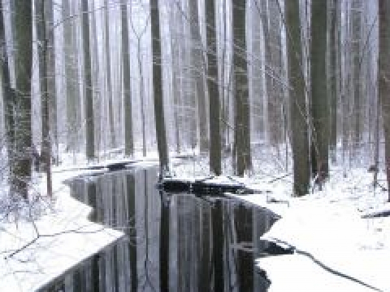 Dabas izglītības centrā "Meža mājā" atzīmēs Mitrāju dienu