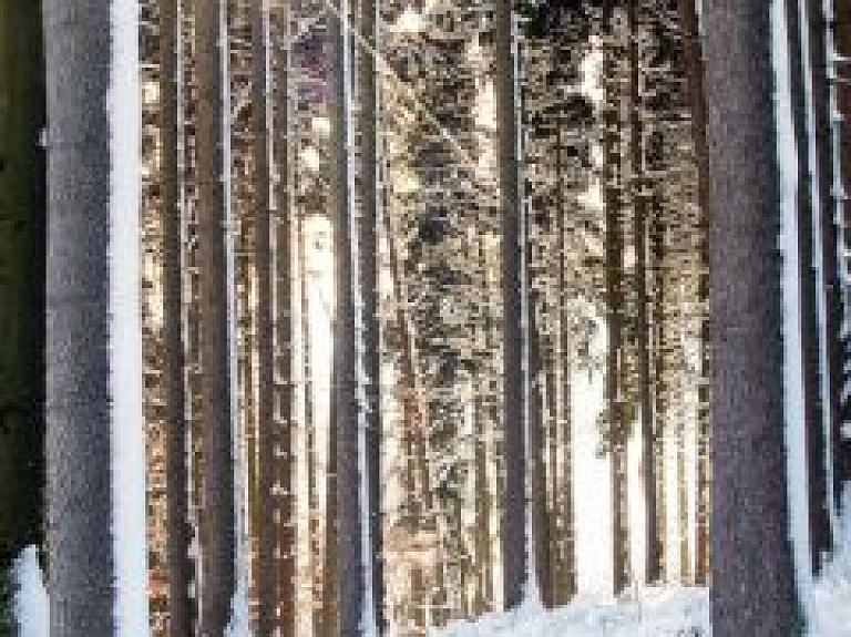 Jau trešdien gaisa temperatūra vietām Latvijā paaugstināsies līdz plus 6 grādiem