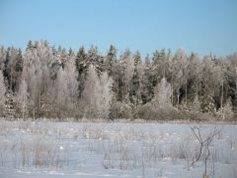 Valkā organizē mednieku un medību vadītāju sagatavošanas kursus