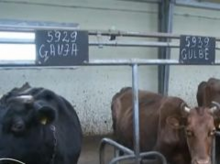 Latgales piensaimnieki apņemas pārvarēt krīzi