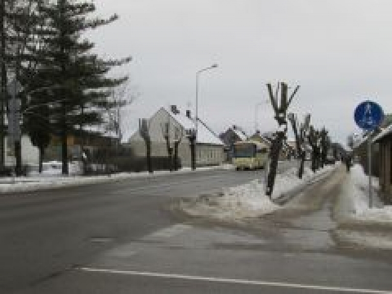 Līvānos atjauno koku veselīgo stāvokli