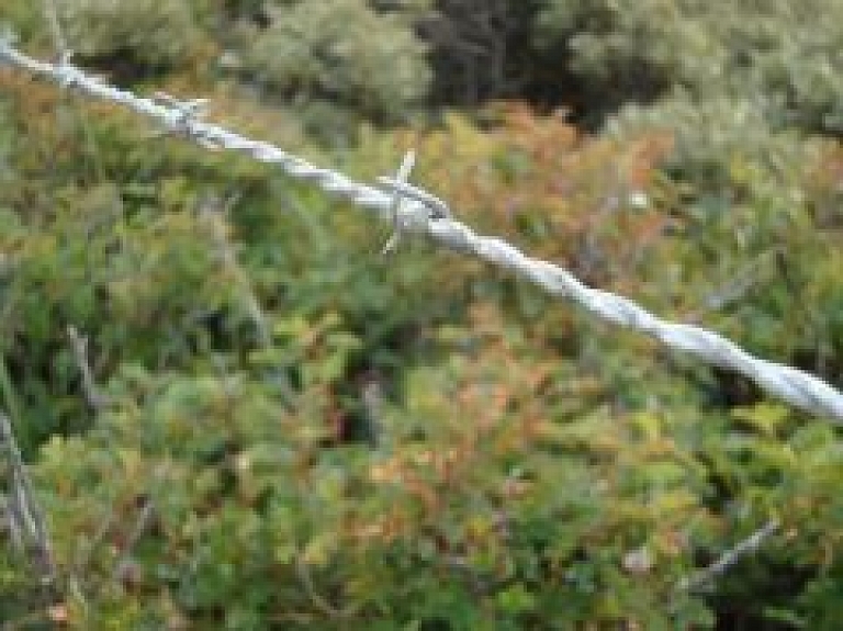 Aizturēts Pāternieku robežkontroles punkta vecākais inspektors