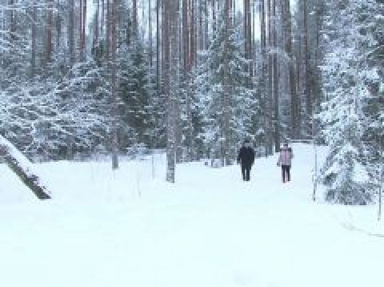 Latgales Reģionālā TV: Viļakas novadā apgānīti vairāk kā 200 senkapi