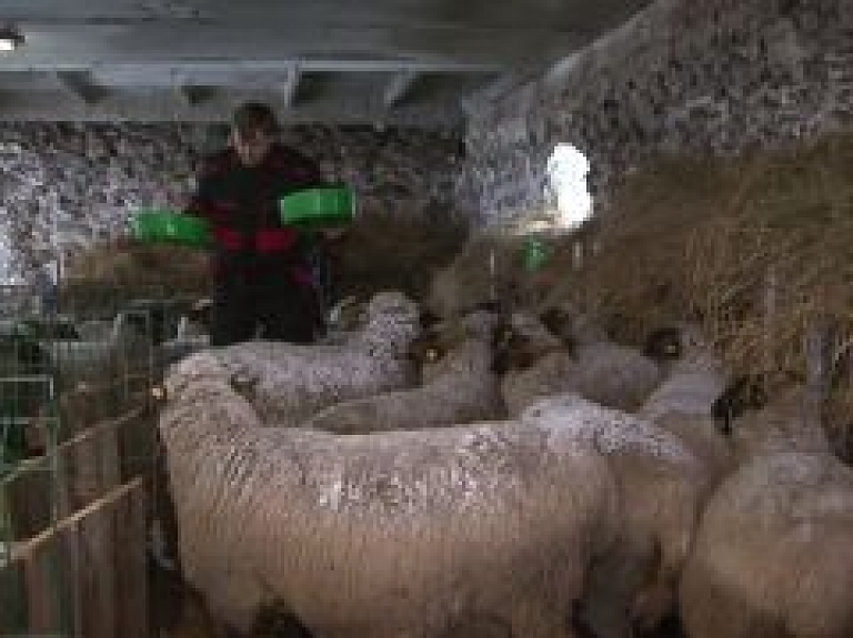 Latgales Reģionālā TV: Zemnieku saimniecībā "Bitāni" rit aitkopības un tūrisma jomu izaugsme